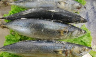 巴巴鱼的营养价值主要对什么有好处