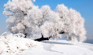 雾凇的形成 雾凇的形成是凝固还是凝华