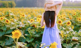 一晃就老了金典句子 感慨岁月催人老的诗句