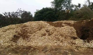 有机肥制作方法 菌渣有机肥制作方法