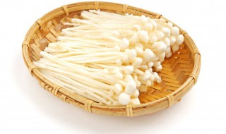 金针菇二次种植方法 金针菇二次种植方法一夜成长