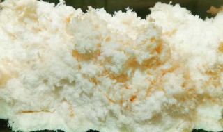 石太岁的鉴别方法 石太岁的特征