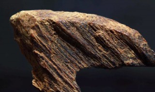 沉香木的鉴别方法 沉香木的鉴别方法视频