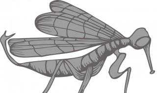 电蚊香片正确使用方法 电蚊香液正确使用方法图解