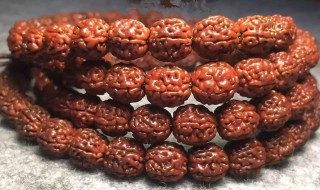 小金刚盘黑了补救方法 小金刚盘玩过程中发黑怎么回事