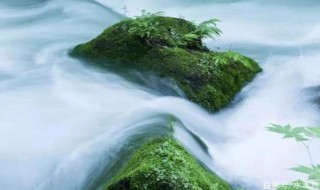 人的修行最高境界句子（人的修行最高境界句子一句佛语点透人生）