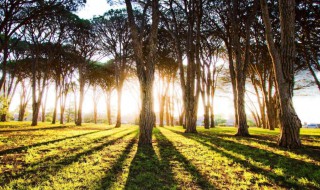 生活中太多无奈的句子 生活中太多无奈的句子但相信会美好的句子