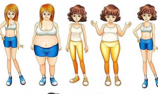 不吃可以减肥吗（午饭不吃可以减肥吗）