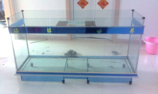 怎样做鱼缸换气（怎样做鱼缸换气泵）