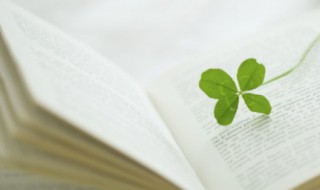 充满正能量的句子 工作充满正能量的句子