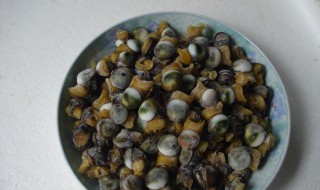 菜螺的养殖方法