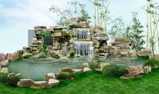 假山长绿毛怎么处理 假山上长白毛怎么办