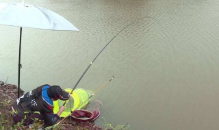 秋分钓鱼技巧 秋分钓鱼技巧是什么