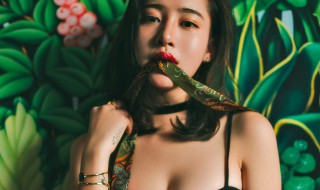 绿茶女什么意思 绿茶女什么意思啊为什么叫绿茶