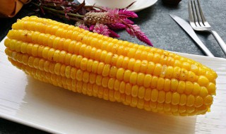 玉米收藏的方法（玉米收藏的方法有哪些）