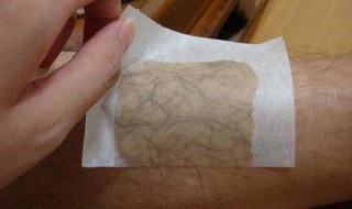 怎样能除毛（怎样除毛毛虫）