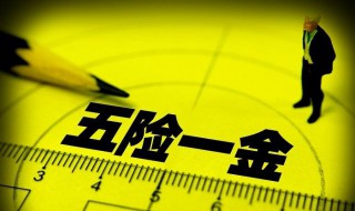 五险一金包括什么及缴纳比例 五险一金指什么缴费比例