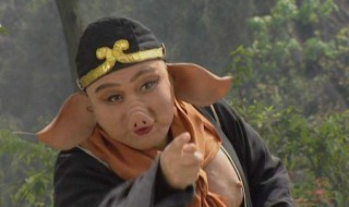 八戒都哪八戒呢（八戒是哪八个）