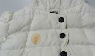 怎样去除羽绒服上的油渍（怎样去除羽绒服上的油渍痕迹小妙招）