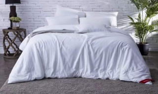 怎样洗蚕丝被（怎样洗蚕丝被芯）