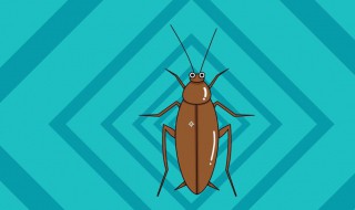 怎样消灭蟑螂（怎样消灭蟑螂最快方法）