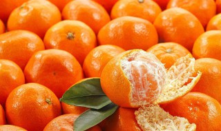 怎么挑橘子汁多 三招挑橘子