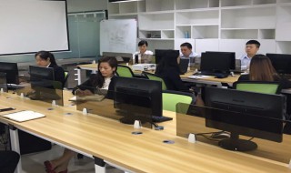 什么是公务猿(啥是公务)