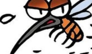 解决蚊虫的方法（如何解决蚊虫）