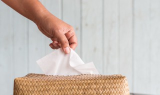 餐巾纸的递接方法 餐巾纸的递接方法有哪些