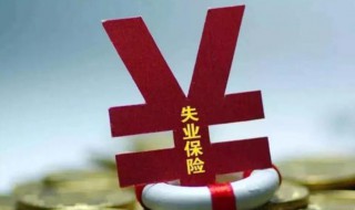 失业金是领保险金还是补助金 失业金是领保险金还是补助金好