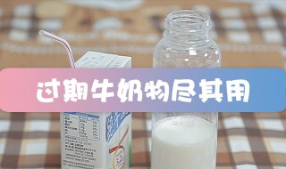 牛奶过期了如何利用（牛奶过期了如何利用 用途）