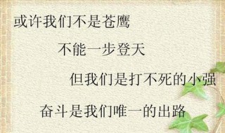 打不死的小强励志词句（打不死的小强励志词句图片）