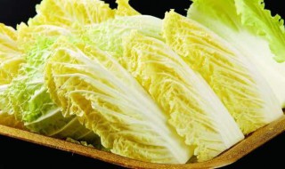 白菜苗几天浇一次水（白菜苗几天浇一次水最好）