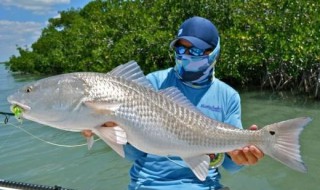 路亚怎么玩（路亚怎么玩怎么钓花鲢鱼）