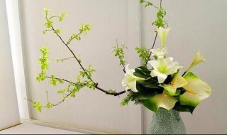 插花艺术教程固定法技巧