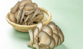 吃蘑菇会胖吗（晚上吃蘑菇会胖吗）