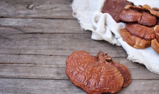 采来的野生灵芝怎么处理（刚采摘的野生灵芝怎么处理）