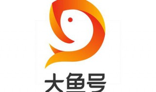 怎么在大鱼号上发布小视频（怎么在大鱼号上发布小视频赚钱）
