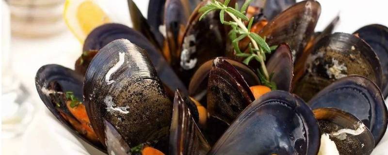 煮熟的海虹肉怎么储存 海虹煮熟了肉可以冷藏吗