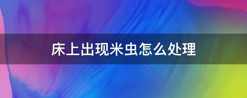 床上出现米虫怎么处理 床上出现米虫一样的虫子