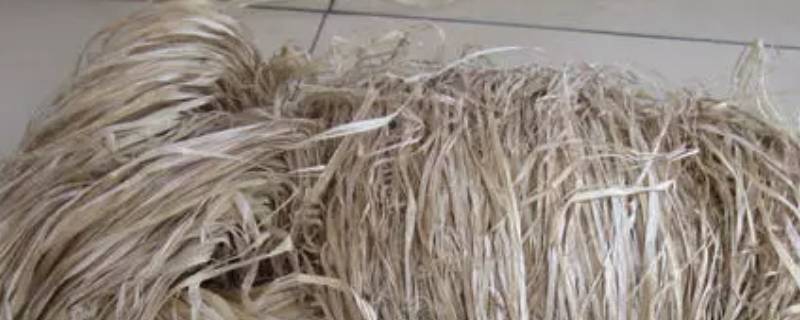 植物纤维是纯棉吗（天然植物纤维是纯棉吗）