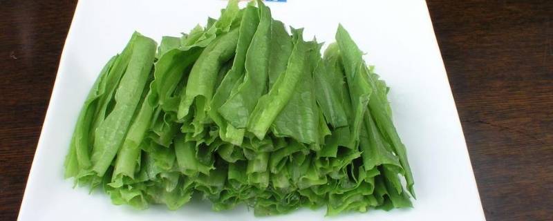 成都凤尾菜又叫什么（成都凤尾菜又叫什么菜名）