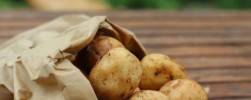 土豆蒸多久（土豆蒸多久能熟）