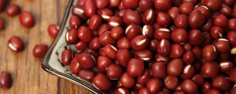 红豆不泡可以直接煮吗（红豆不泡怎么快速煮熟）