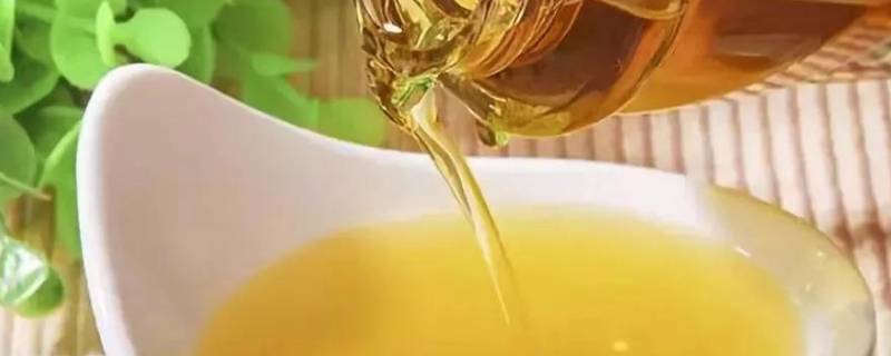 菜籽油过期了怎么处理 菜籽油过期了怎么处理掉