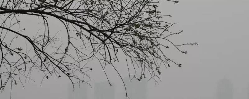 什么天气系统造成的大风为多 造成大风以什么天气系统造成的大风多