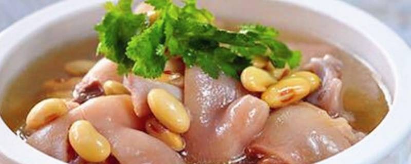 猪蹄怎么炖汤好吃又营养（猪蹄汤怎么炖最好吃）