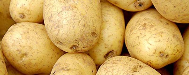 土豆切好了泡水里可以放多久（土豆切好了泡水里可以放多久呢）