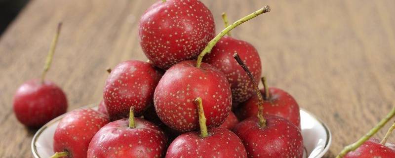 常见酸味食物（酸味道的食物）