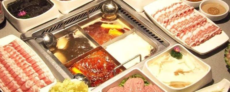 海底捞能带宠物吗（海底捞不可以带宠物吗）